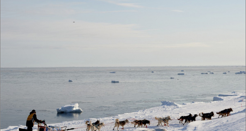 Камчатские школьники представили видеопроект про традиционную гонку «Берингия».
