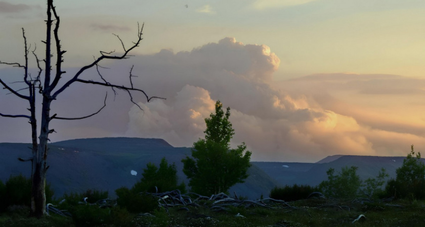 Жителей Камчатки призывают не палить сухостой на участках и полях.