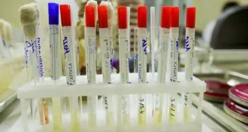 Клиентам подозрительного автокафе в Петропавловске предлагают сдать анализы