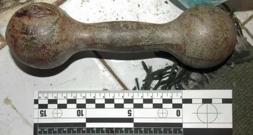 Житель Камчатки убил приятеля гантелей за оскорбление российской армии