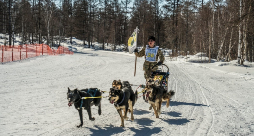Гонка юных каюров «Казачий путь» прошла в селе Эссо Камчатского края.
