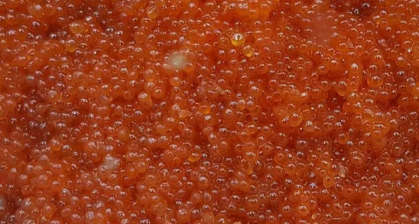 Камчатский сельчанин заплатит 5,4 миллиона рублей за браконьерство