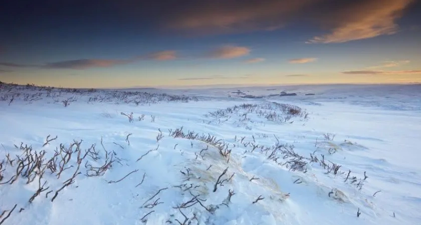 На севере Камчатки спасатели нашли ушедшую в ночную тундру женщину