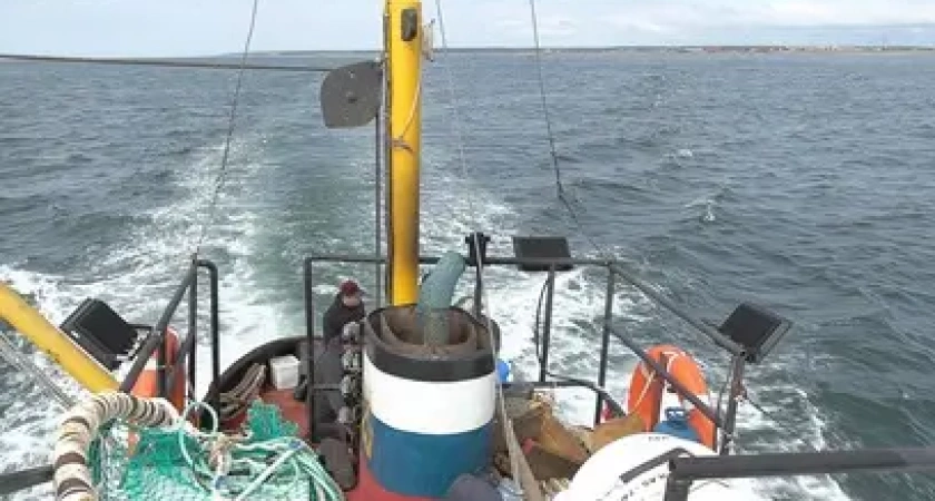 Камчатские рыбаки завершили сезон «А» Охотоморской минтаевой путины