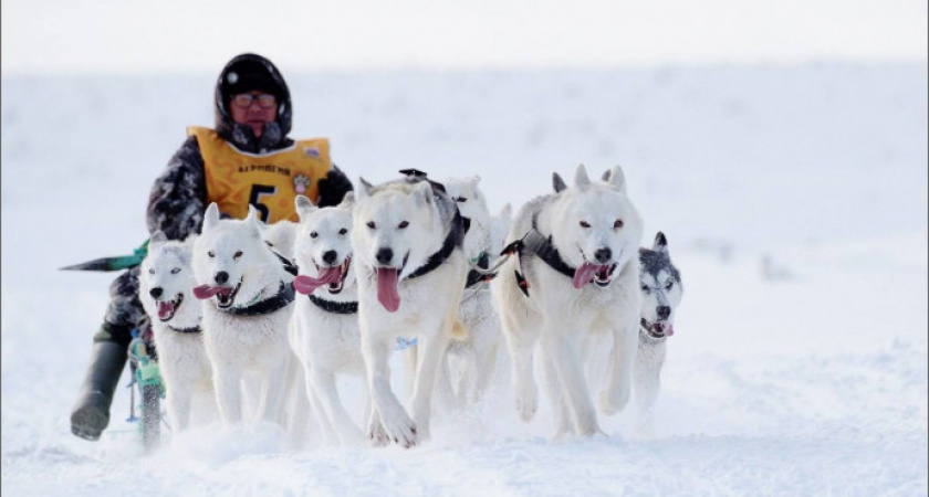 «Берингия – 2024»: четверть дистанции позади