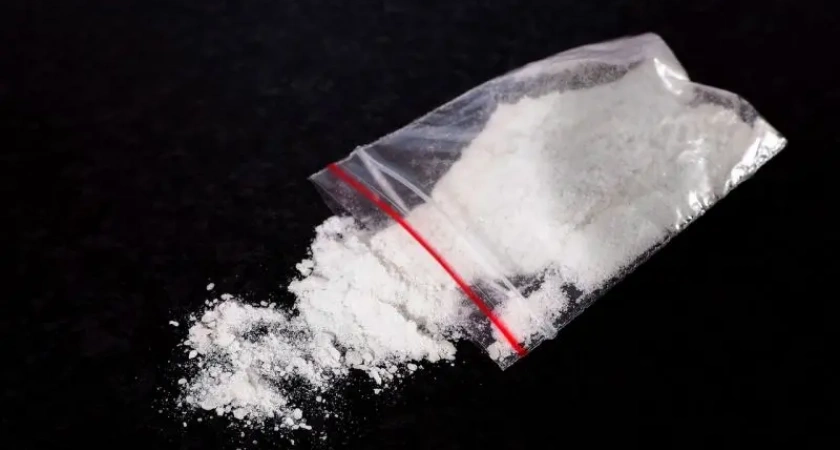 Жителя Камчатки арестовали за незаконный оборот почти полкило наркотиков