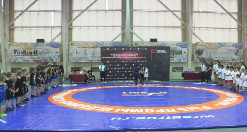 Краевые соревнования по греко-римской борьбе провели на Камчатке