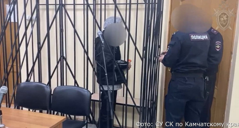 В Елизовском районе женщина заколола сожителя: возбуждено уголовное дело