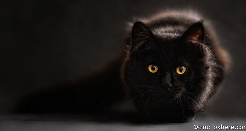 Гороскоп на 25 апреля: Козероги могут встретиться с давним врагом