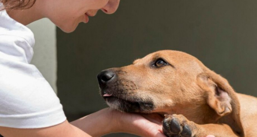 Как укрепить корпоративный дух в коллективе — советы медиков