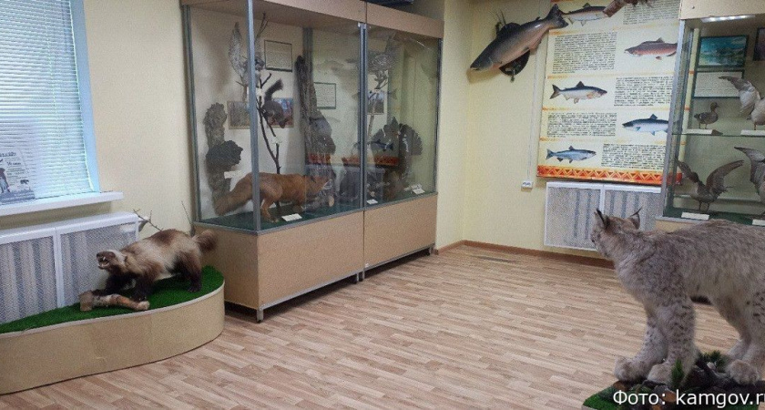 Елизовский краеведческий музей купил витрины на 2 миллиона рублей