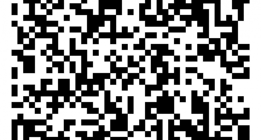 В краевой столице волонтеры помогают горожанам принять участие в голосовании за благоустройство дополнительной территории