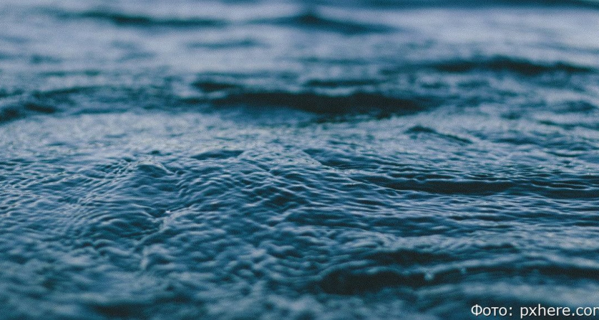 С камчатских краболовов взыщут более 287 миллионов рублей