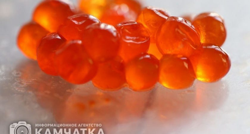 Вместо икры жительница Алтая получила в посылке с Камчатки туалетную бумагу