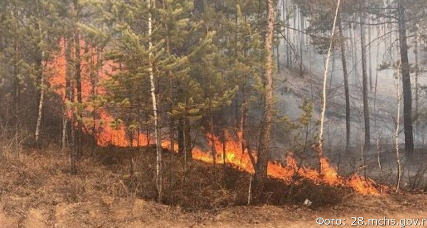 С дальневосточника взыщут 5 миллионов за пожар в заповеднике