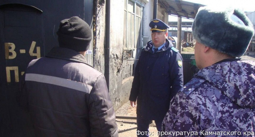 Прокуратура установила, что в Елизовской колонии пора ремонтировать камеры