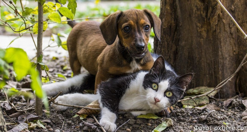 Гороскоп на 4 мая: Стрельцам и Водолеям нужно постараться жить дружно