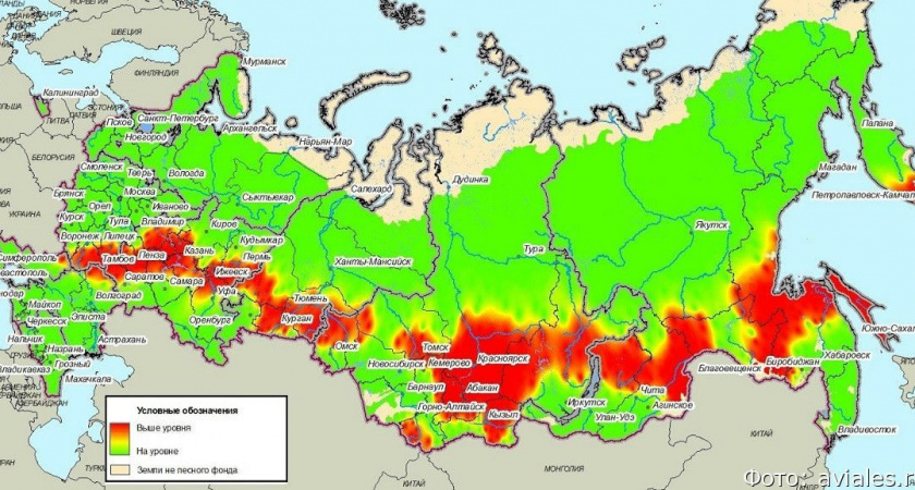 «Авиалесоохрана» прогнозирует риск пожаров на юге Камчатки в мае