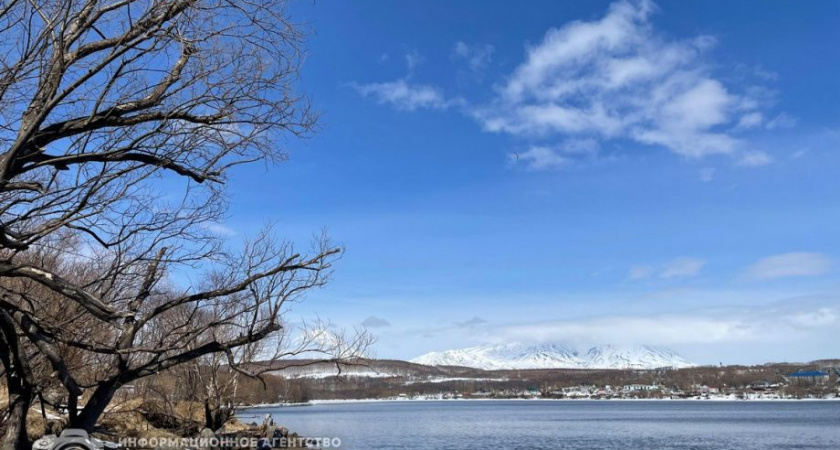 Сброс теплых вод в Халактырское озеро может привести к его заболачиванию