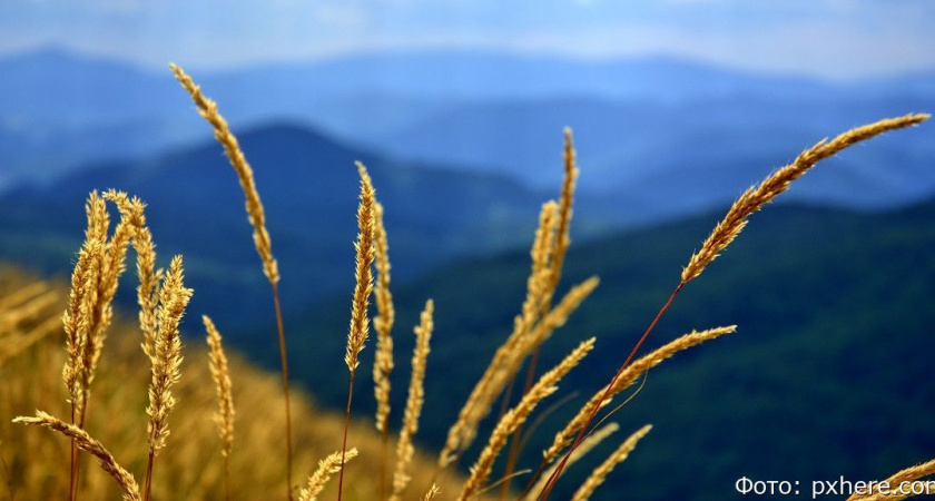 Гороскоп на 8 мая: Скорпионам и Стрельцам пора побыть в тишине
