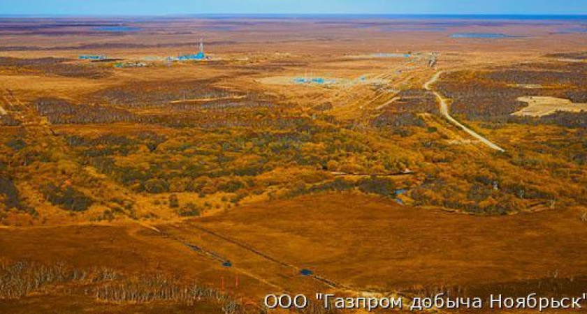 «Газпром добыча Ноябрьск» завершил сейсморазведочные работы на Камчатке