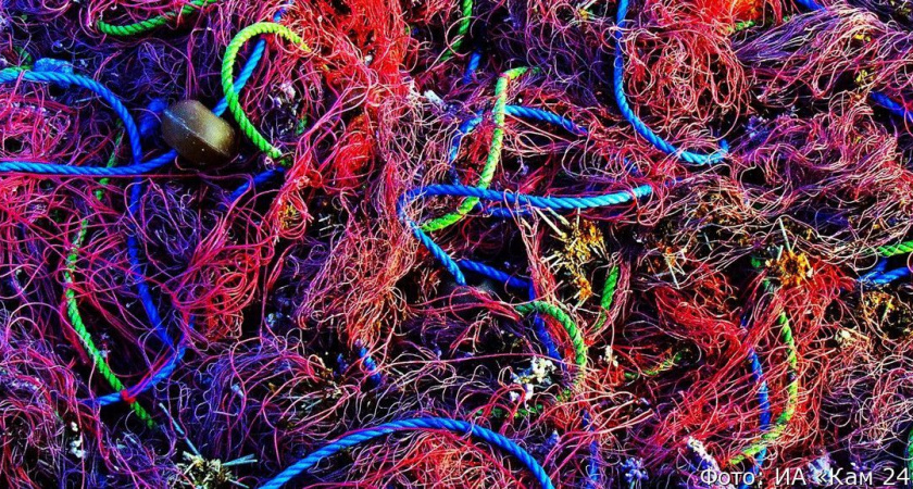 На Камчатке рыбинспекторы выявили 62 нарушения за прошлую неделю