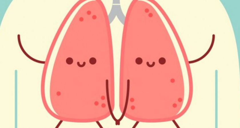 Интересные факты о человеческих легких подобрали в камчатском Центре профилактики