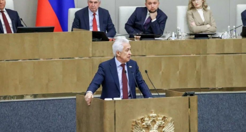 Ирина Яровая: Михаил Мишустин - эффективный и созидательный руководитель