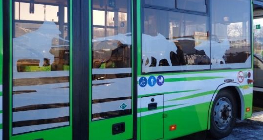 Автобусы маршрута № 11 на Камчатке будут курсировать на Радоницу