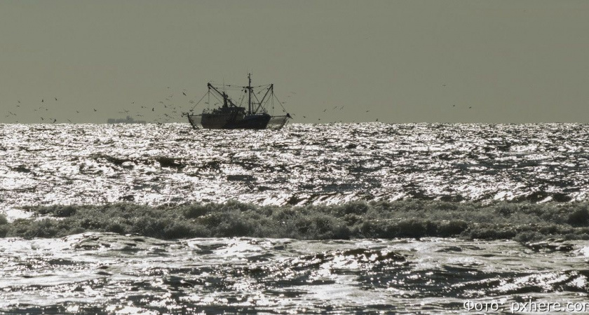 Получив квоту, компания два года не ловила камчатскую рыбу: разрешение хотят забрать