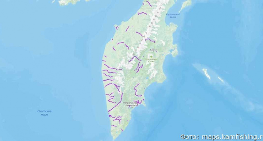 На Камчатке разрешили любительский вылов рыбы