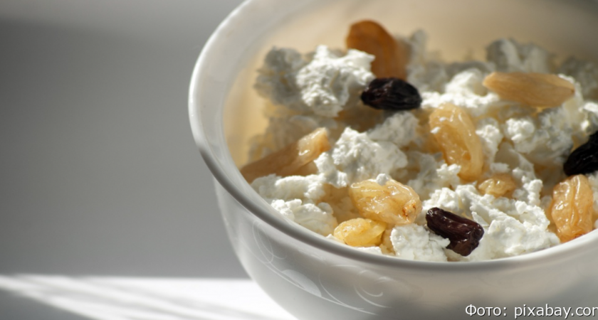 В российском твороге обнаружили кишечную палочку и «мясной клей»