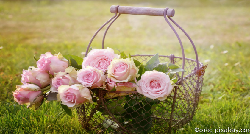 В России хотят ограничить ввоз цветов из недружественных стран