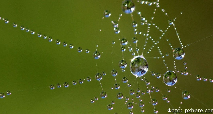 Гороскоп на 16 мая: Весы примерят роль лидера, Стрельцы обзаведутся связями