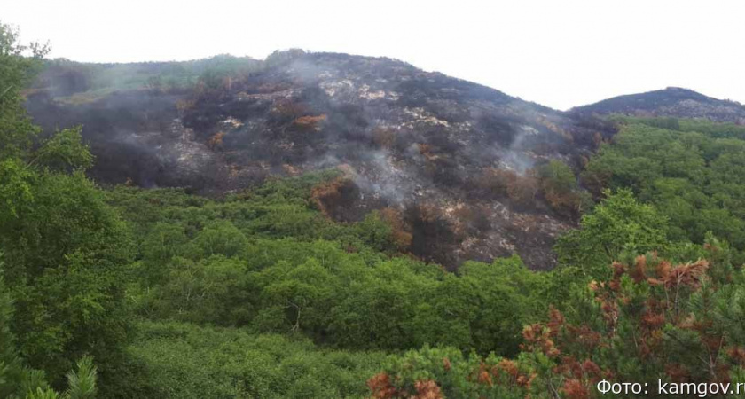На Камчатке лесные пожары начнут искать с воздуха