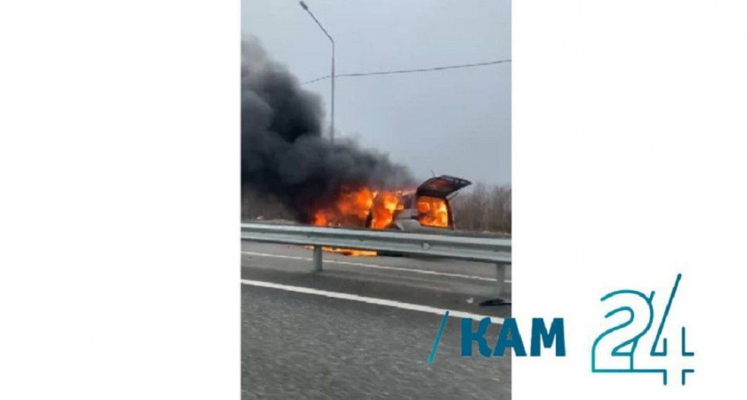 В Елизове открытым пламенем горит автомобиль (видео)