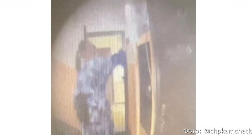 Жительница Петропавловска навела суету в доме и на улице