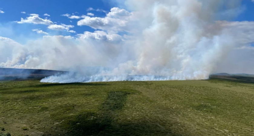 Первый на Камчатке в этом сезоне лесной пожар локализовали специалисты