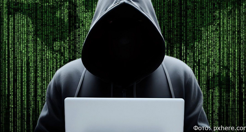 На Камчатке чиновник лишился более 4 миллионов, попавшись на удочку мошенников