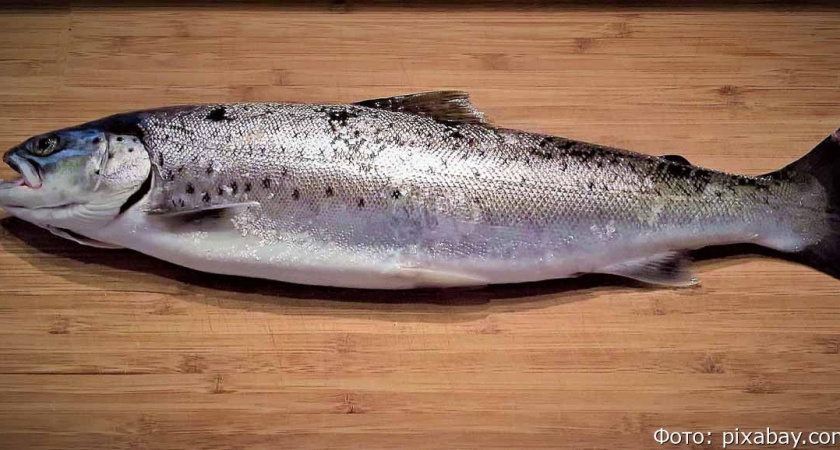 Экспорт рыбопродукции с Камчатки за прошлую неделю вырос в 3,7 раза