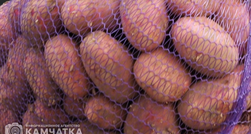 Россельхознадзор на Камчатке проверил качество первой партии овощей из Китая