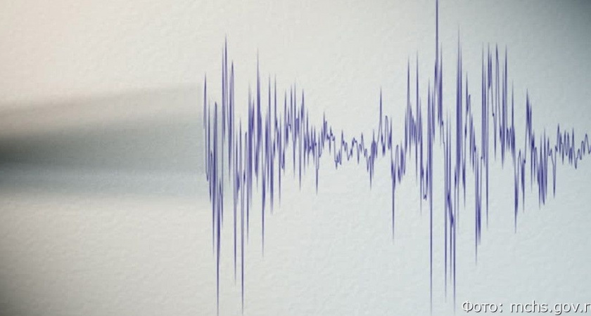 На Камчатке в акватории Тихого океана произошло неощутимое землетрясение