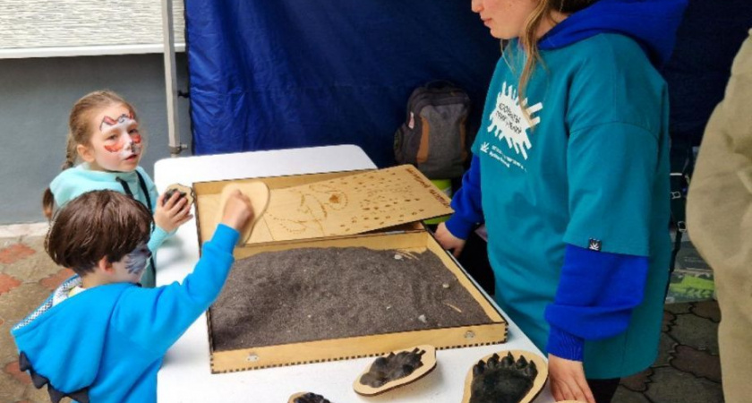 Экофестиваль «Встречаем лето с заповедной Камчаткой» проведут в День защиты детей