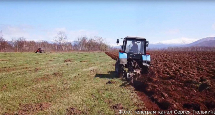 В Елизове полевые работы начались раньше срока