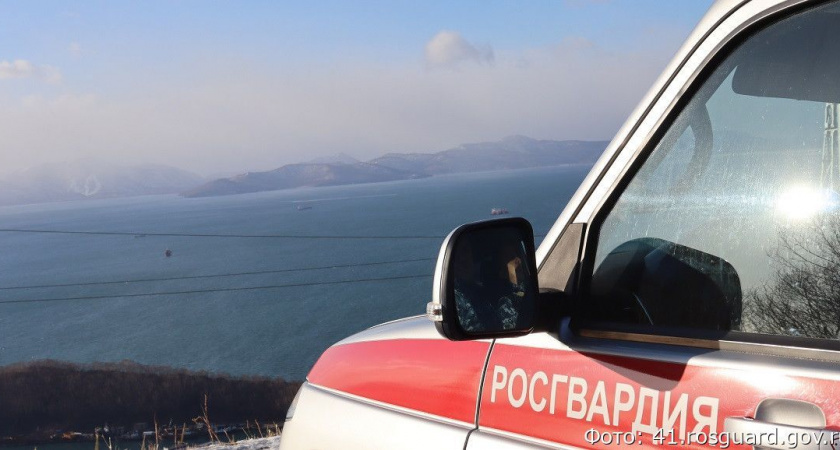 В Петропавловске-Камчатском росгвардейцы задержали пьяного водителя