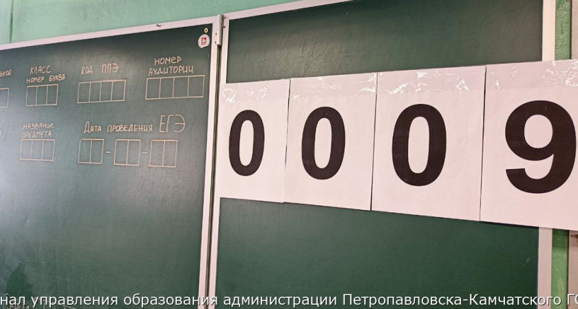Камчатские старшеклассники написали первые три предмета в формате ЕГЭ