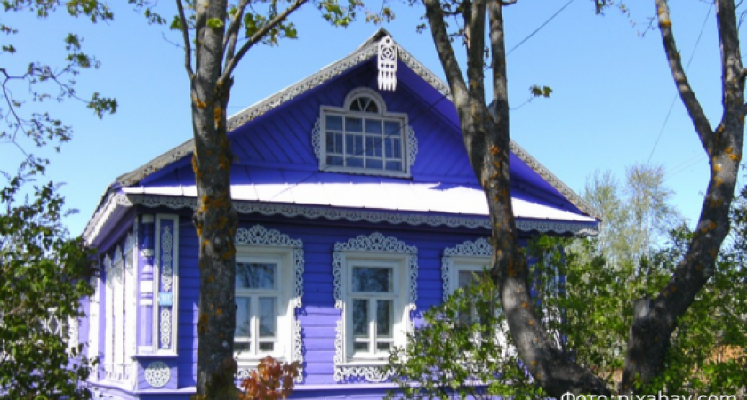 Дачники получат штраф, если не начнут использовать огороды по назначению