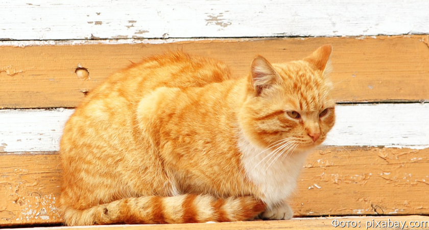 В российских городах начали запрещать лежать на лавочках