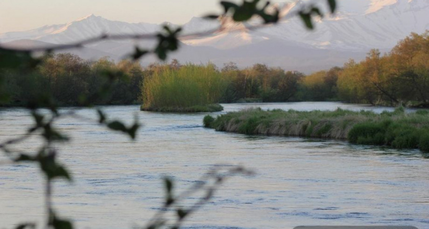 Камчатские лесники рассказали школьникам о своей профессии