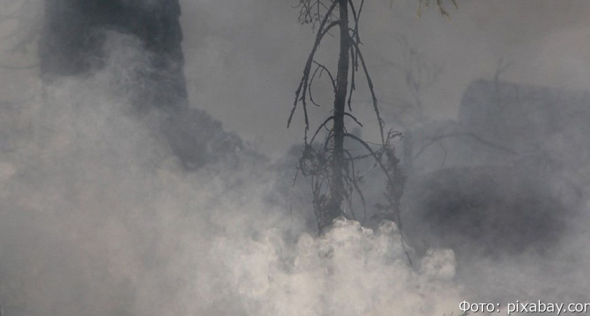 На Камчатке в Тигиле людям запретили ходить в лес